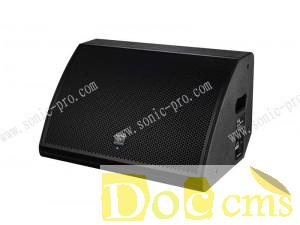 網(wǎng)絡有源單15寸返送音箱350W 德國SONIC