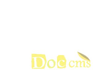 臺灣JDS 無線手拉手主機9005